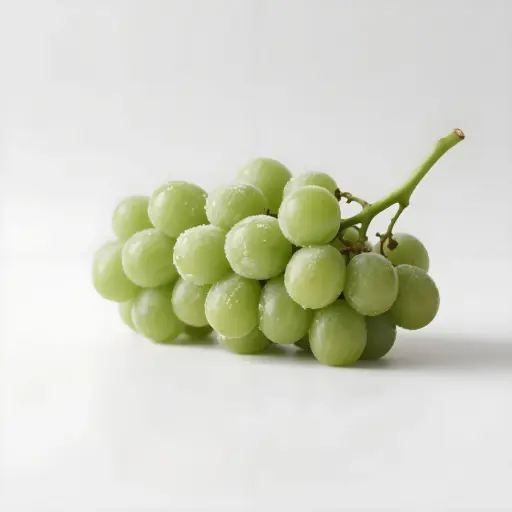 葡萄
